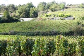 A la suite des épisodes et de canicule qui ont fortement affecté les exploitations agricoles de la Côte-d'Or, le Gouvernement complète le plan d'urgence agricole annoncé le 4 septembre.